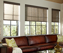 Lutron-Serena_sub_app2