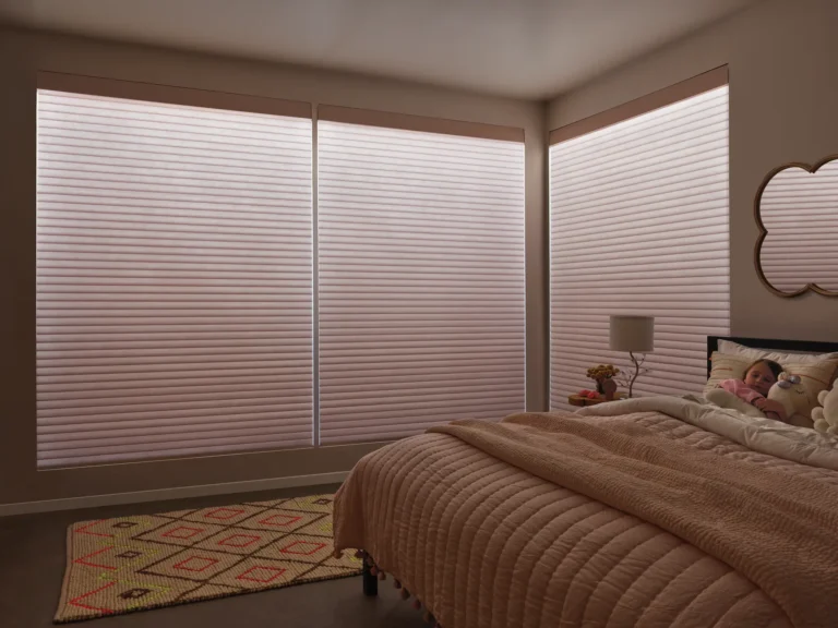 AURA Sonnette Hunter Douglas Shade with Drapery in dining room