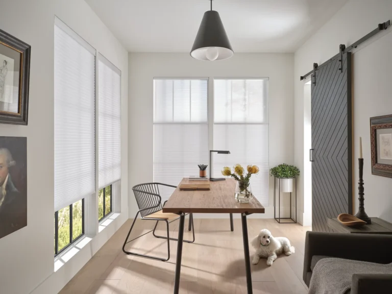 Duette Hunter Douglas Duolite honey comb cellular shades in office with light filtering and sheer liner available through Ambassador Blind N Shutter in Grand Junction Colorado